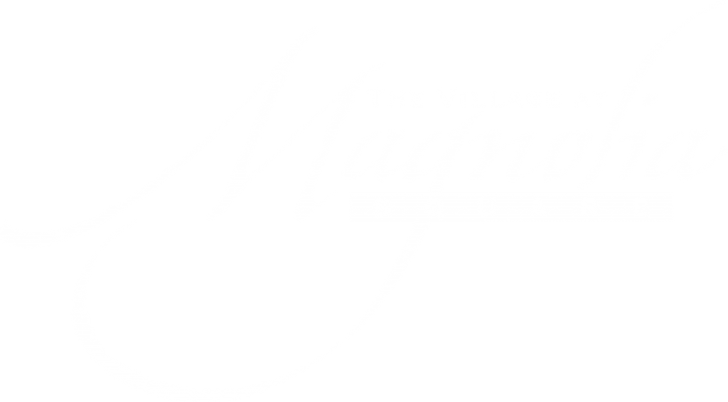 59075a037bc6d910936c6d58_Magnolia-logo-p-1080